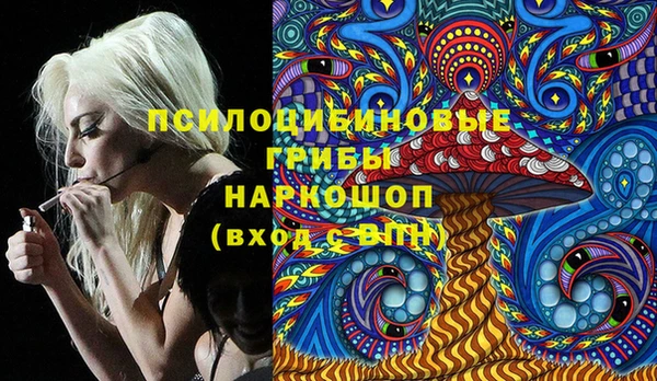 2c-b Пересвет
