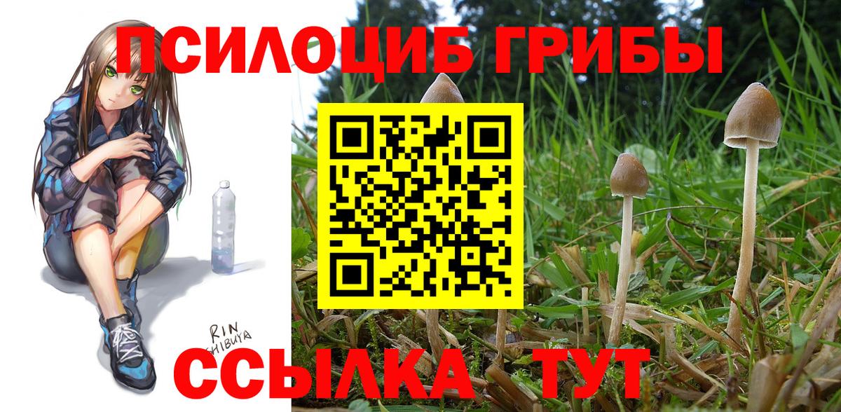 Галлюциногенные грибы прущие грибы Вязьма