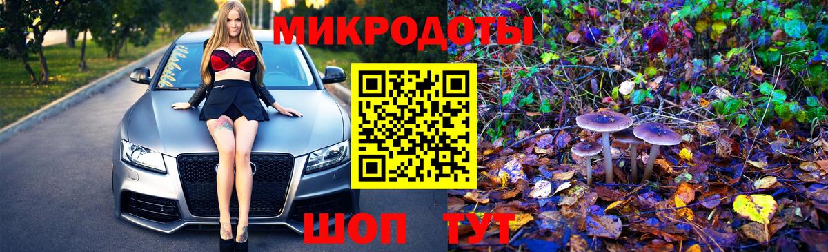 Псилоцибиновые грибы Psilocybe Вязьма