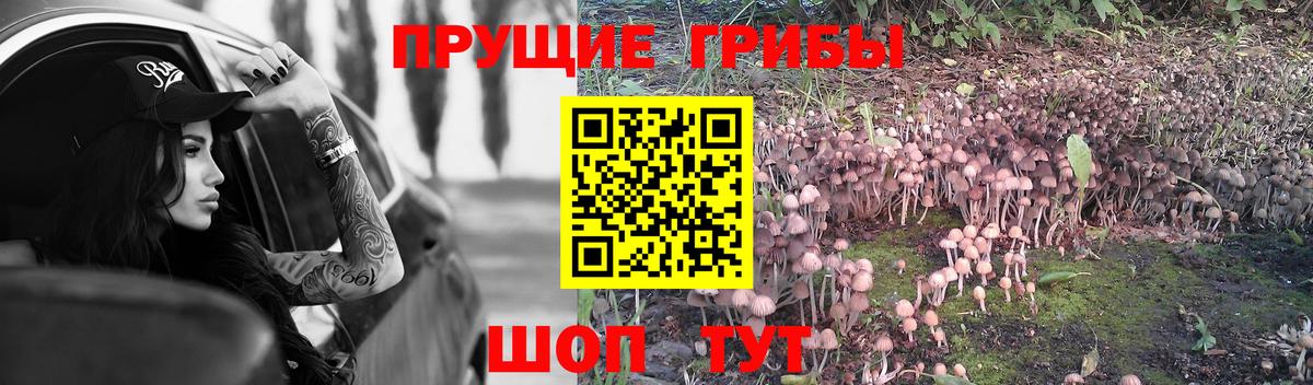 Галлюциногенные грибы Magic Shrooms  Псилоцибиновые грибы мицелий  Вход с VPN  Вязьма 